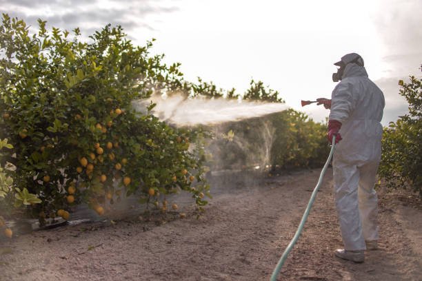 Best Pest Prevention Services  in Belmar, NJ