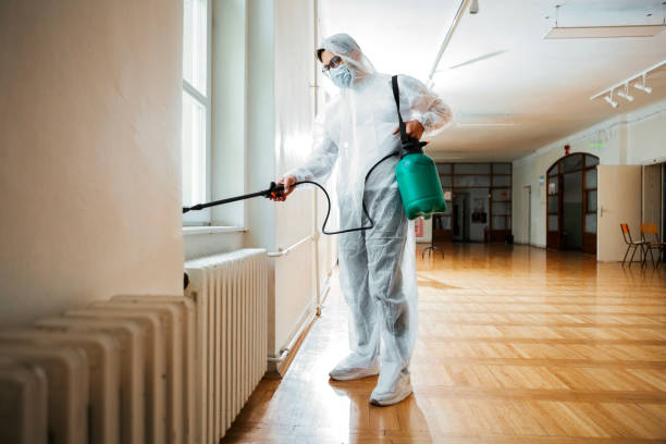 Insect Control in Belmar, NJ